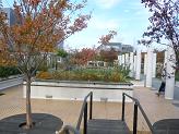 c0065804_15135556.jpg