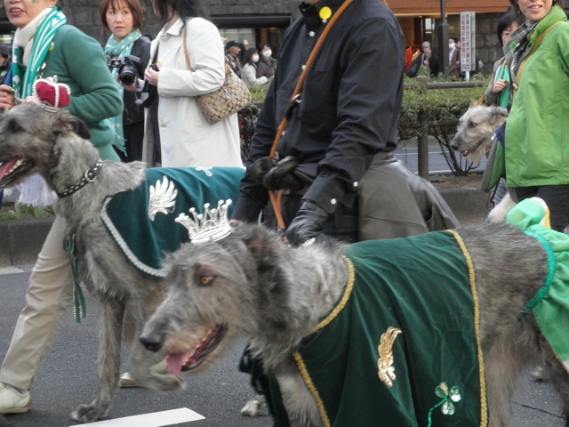 c0173105_1141161.jpg