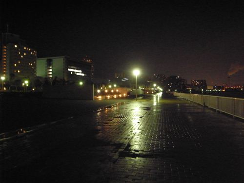 d0131006_23532695.jpg