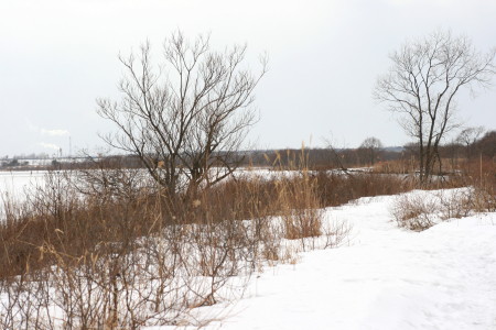 f0041606_20102916.jpg