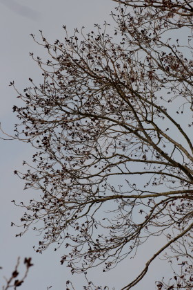 f0041606_20104516.jpg
