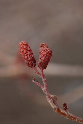 f0041606_2011823.jpg