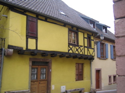 d0135907_751221.jpg
