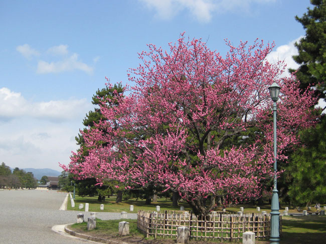 a0164011_1955366.jpg