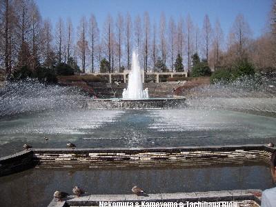 f0167314_2327944.jpg