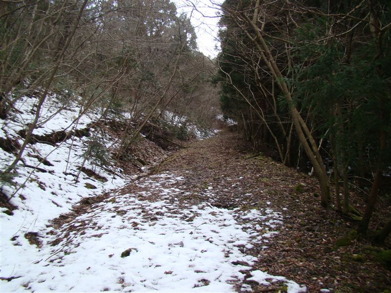 a0127015_19241067.jpg