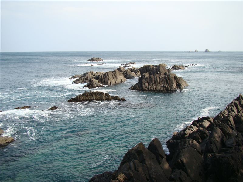 a0127015_19413168.jpg