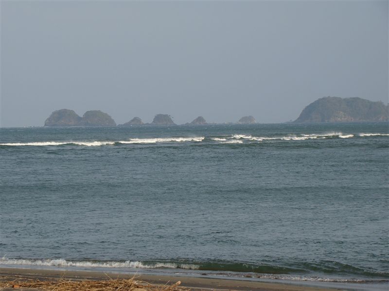 a0127015_19421723.jpg