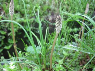 c0226317_2141036.jpg