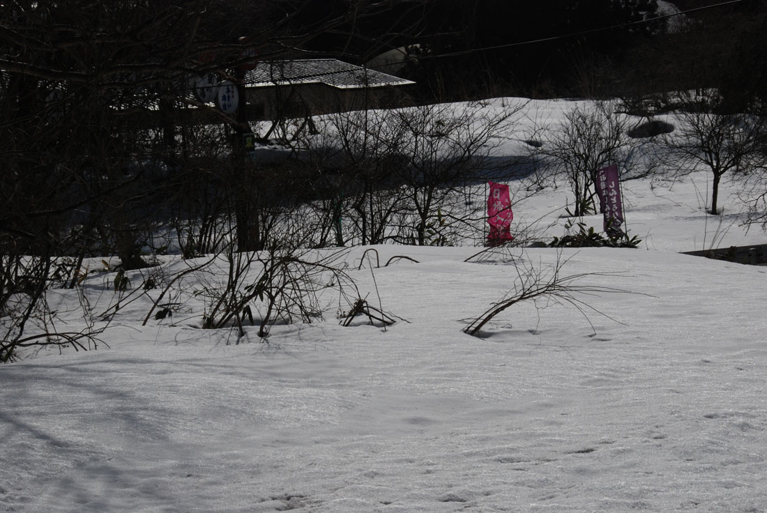f0206417_21505930.jpg