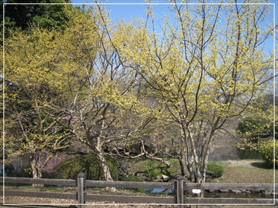 d0089418_162589.jpg