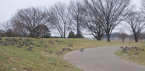 a0053420_053536.jpg