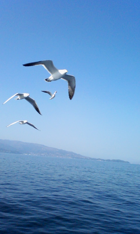 f0036223_112074.jpg