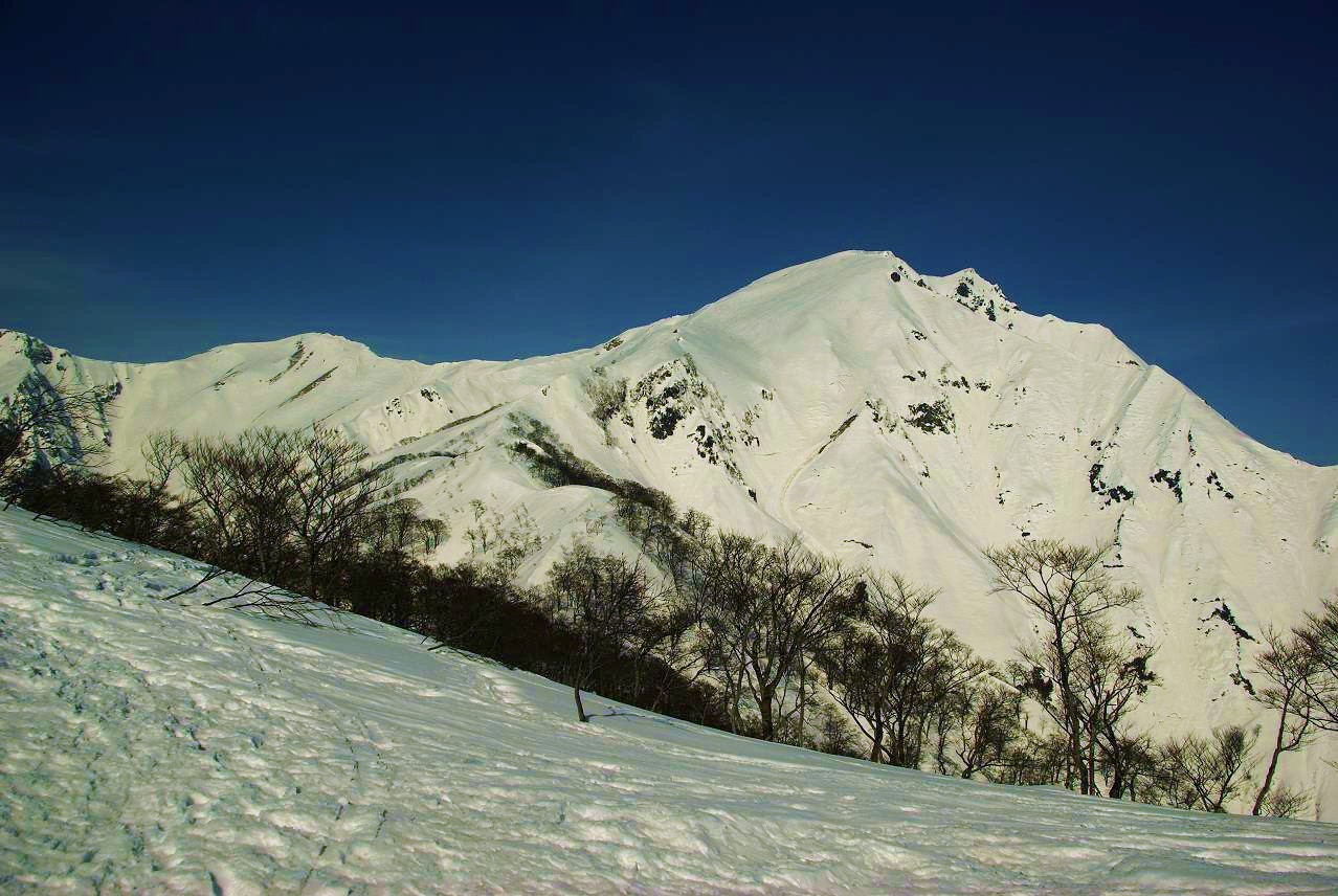 b0062024_8221872.jpg
