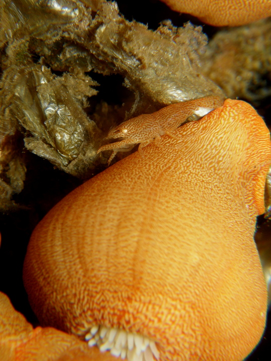 c0034029_724859.jpg