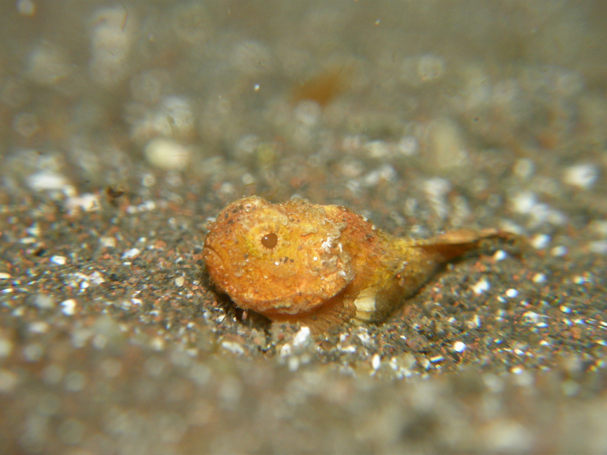 c0034029_733134.jpg