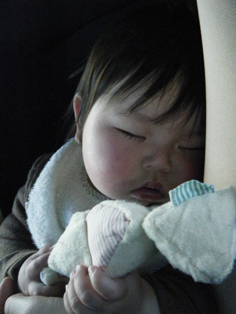 c0110930_0173868.jpg