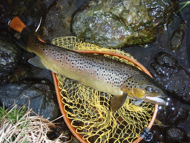 a0165135_23391036.jpg