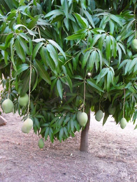 f0204737_64416.jpg