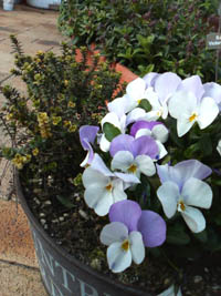 f0204440_10162490.jpg