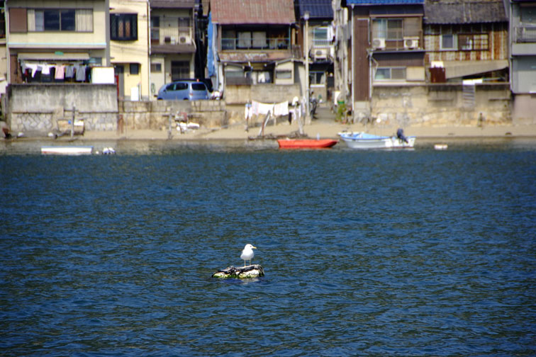b0075541_2115946.jpg
