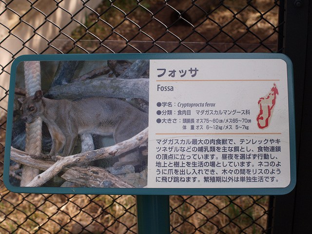 a0106043_17515294.jpg