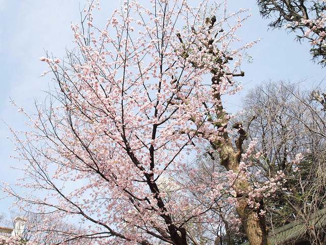a0106043_9593298.jpg