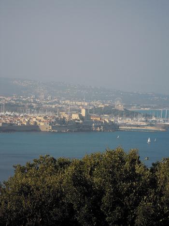 f0194446_161495.jpg