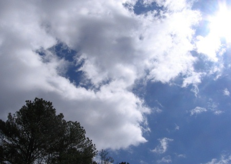 b0178155_12225919.jpg