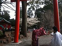 a0057057_22303031.jpg