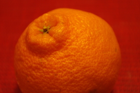 e0128759_20111583.jpg