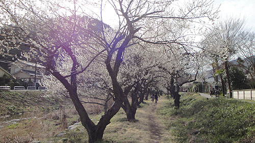 b0101263_13565571.jpg
