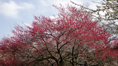 b0101263_13571215.jpg