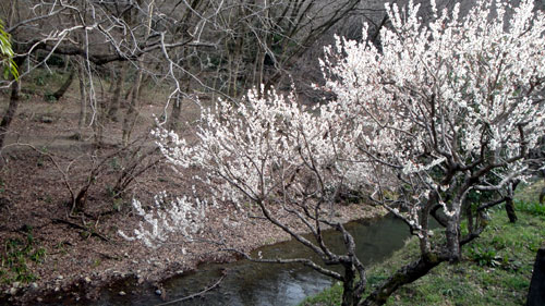 b0101263_13572795.jpg