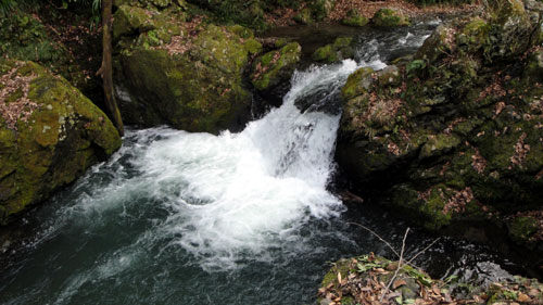 b0101263_147343.jpg