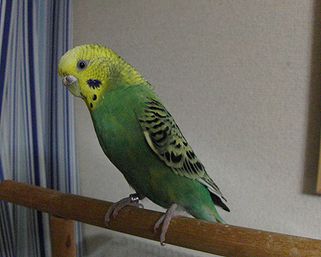 f0196665_23222062.jpg