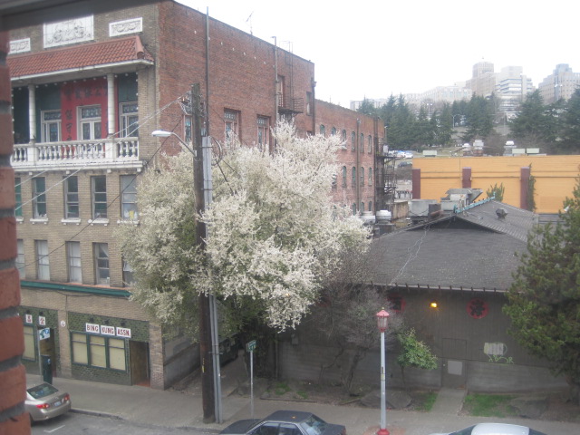 f0132366_14532.jpg