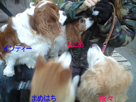 c0177668_22123192.jpg