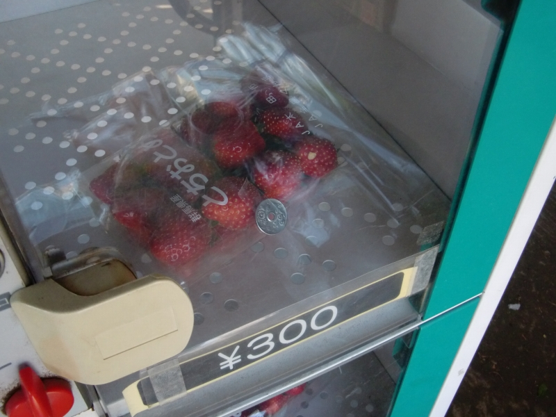 d0132969_18282547.jpg