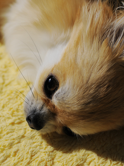 c0026870_1752115.jpg