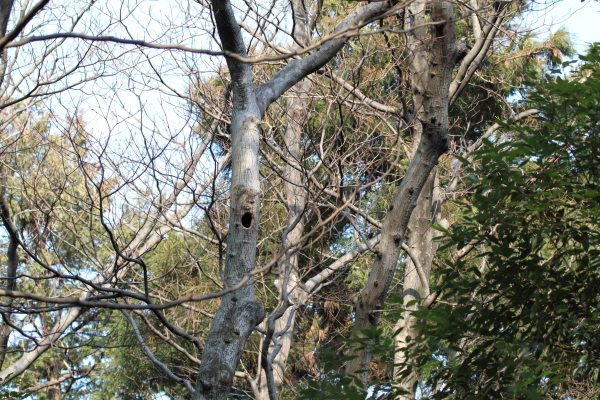 a0167480_17251847.jpg