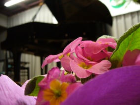 b0176580_034975.jpg