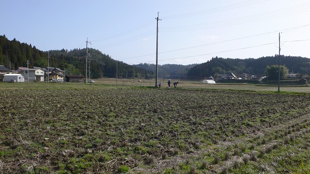 b0042882_20522410.jpg