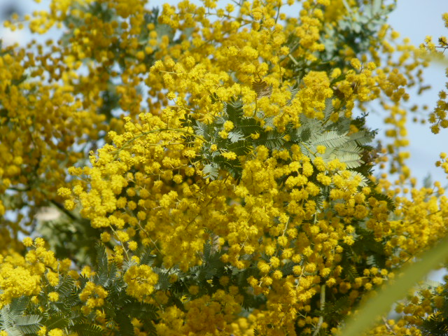 e0145782_18394790.jpg