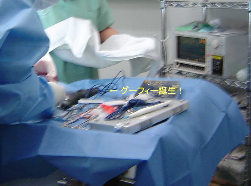 e0162984_2254094.jpg