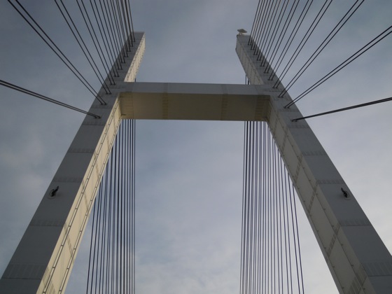 d0044986_7431623.jpg