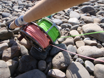 c0146788_9184785.jpg