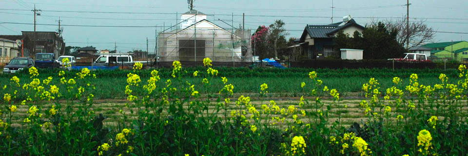 c0170789_18155191.jpg
