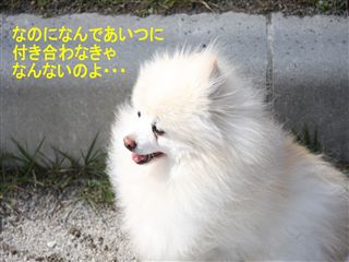 e0121589_1472696.jpg
