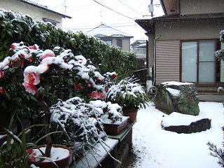 a0079990_22181160.jpg